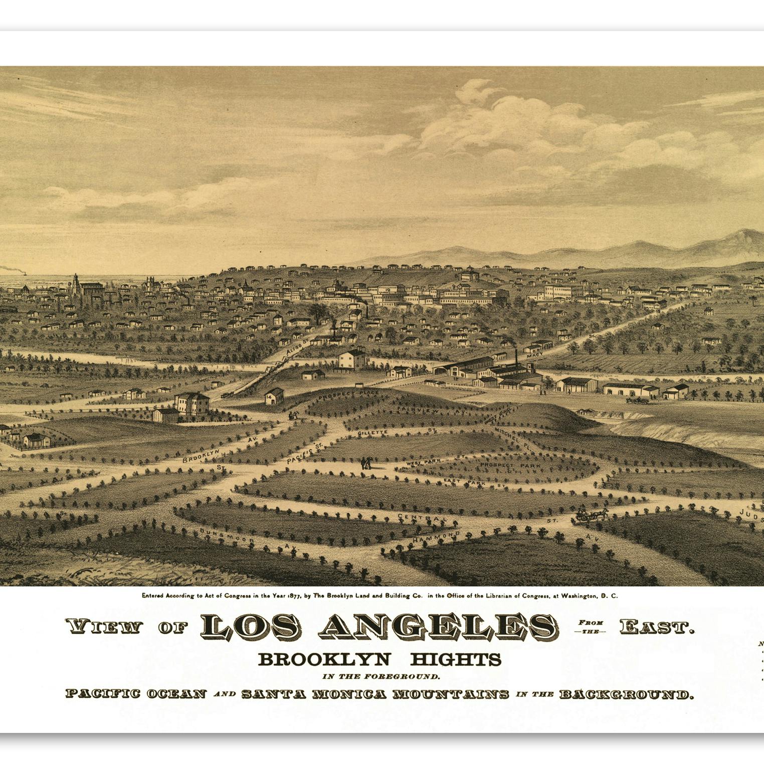 Brooklyn Heights Reprint Los Angeles 1877 Birds Eye View California